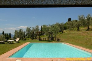 Bernardini 12